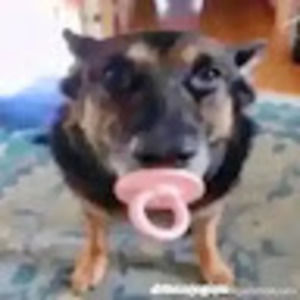 Meet your Posher, Colin